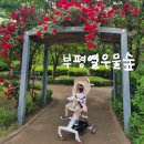십정동열우물놀이공원 | 24개월아기랑 주말산책 공원둘러보기 부평열우물숲 나들이