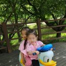 칼비테어린이집 이미지