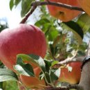 개인(용달)화물 이미지