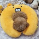 우리애견 | 부천 애견분양후기, 우리 집 행복을 찾은 특별한 여정