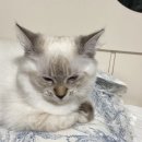 유림켄넬 | November song 🎶 _ 11월 보고서