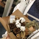 목화스마일 이미지