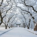 백양사 쌍계루 | 장성 백양사 설경: 쌍계루와 백학봉이 빚어낸 수묵화의 정수