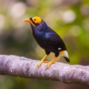 삼환아파트 이미지