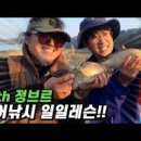 참붕어매운탕
