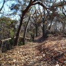 원주굽이길 9코스 스무산둘레길 이미지