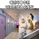 댕댕테이블 | [위례] 귀여운 강아지들이 많은 '아지트댕댕' 애견카페 다녀온 후기