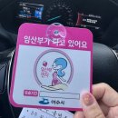 공영써비스 | 여수 임산부 등록 후기｜임신축하금·공영주차장 무료 신청 준비물 총정리