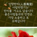 인향