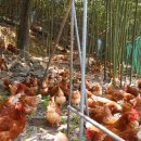 복지농장 이미지