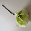 죽향초등학교 | 블로그 이웃 140, 꿈을 전하는 샌드아트 코리아님