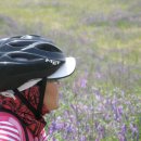 산호대교주유소 이미지