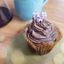 (12/2)초콜릿 컵케이크 이미지
