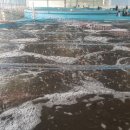 서해수산연구소 이미지