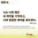 ⛪️ 성 막시밀리아노 마리아 콜베 사제 순교자 기념일 이미지