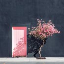 단순함의 순수한 미니멀리스트 사진 25 이미지