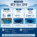 프리다이빙이 처음이라면? AIDA PADI 레벨2 자격 조건, 비용, 기간 총정리