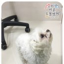경희궁 바른 동물병원 이미지