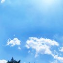 힐튼스테이 이미지