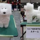 네모네모 이미지