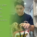 동계동물병원 이미지