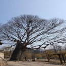 명자네떡집