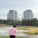 더헤븐 | 더헤븐CC 라운드 후기 골프쟁이밍구의 솔직 리뷰!
