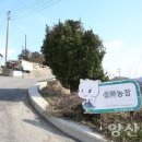 덕계농장 이미지