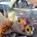 사파동412 이미지