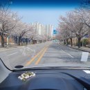 쌍용자동차 광명 옥길 서비스 프라자 | [쌍용 서비스센터] 광명옥길점 친절후기