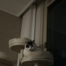 천지관 도안 합기도 이미지