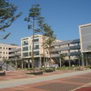 인천대학교 Daum카페