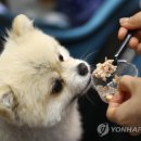 연합동물병원 이미지