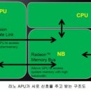 라노 스포츠동아