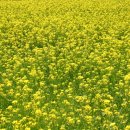 내손중앙로 이미지