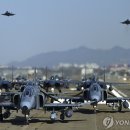 엘리펀트 이미지