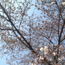 파스쿠찌 금오산점 이미지