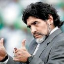 리스펙트 킥복싱 아카데미 이미지