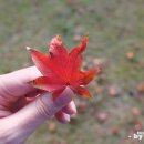 괘릉 화장실 이미지