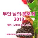 부안 님의 뽕축제 2018 이미지