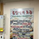 팔등로꼼장어