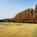 (주)자유건설 이미지