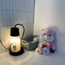 사파동101 이미지