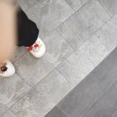 김쌤애견 이미지