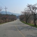 동서마을회관 티스토리