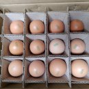 청계농장 이미지