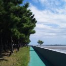 소담공원 농구장 이미지