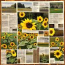 [시민제안강좌] 환경교육과 함께하는 업사이클링 | 우리 동네 기후 행동 이야기