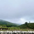 대관령 사파리 목장 이미지