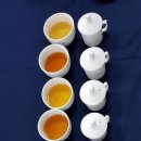 꽃차소믈리에 이미지